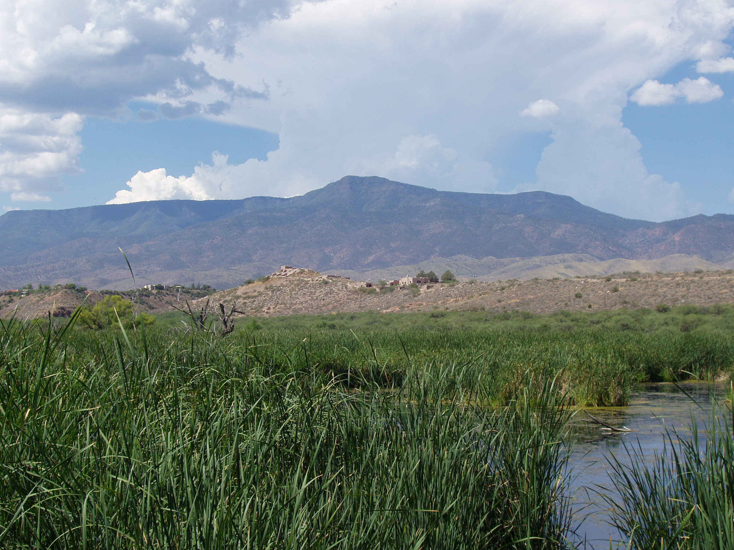 Tavasci Marsh with Ruins