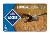 rectangular park pass, blue on the left with a picture of a grey owl in flight on the right