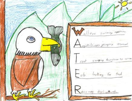 Drawing by Alex Unser, Sullivan West Central School
