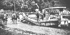 Mules often led by children would pull the canal boats more than 3,000 miles each summer.