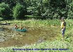 15a Removal of Non-Native Invasive Plant Specie