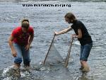 17 Macro Invertebrate Sampling