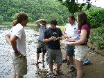 18 Macro Invertebrate Sampling
