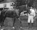 08b Zane with horse