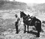 14a Zane Grey Looking into Canyon
