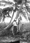 17 Zane with pole and fish hanging from palm tree