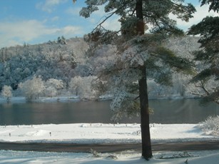 View of the Delaware River from the Lackawaxen Access.