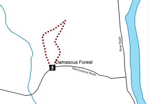 Damascus Forest Trail map