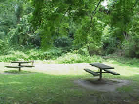 Two picnic tables surrounded by summertime trees along the Skuylkill River trail.