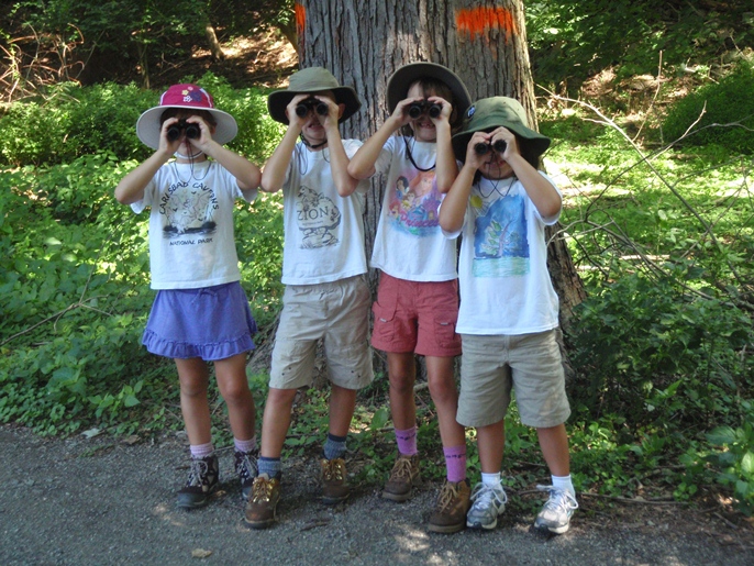 Junior Rangers peer through their binoculars to find bugs