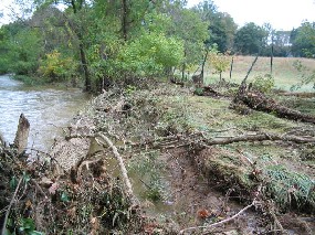 Downed trees lie across a swollen river in the aftermath of a storm.