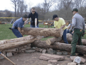 Four men stacking large logs to rebuild hut.