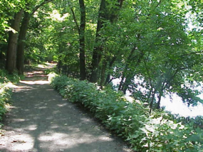 A tree-shaded trail running along the river.