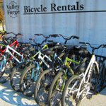 Bike Rentals