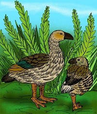 An illustration of what the moa-nalo might have looked like.