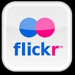 The Flickr logo.