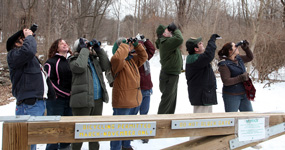 Backyard Bird Count