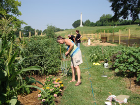 master-gardeners
