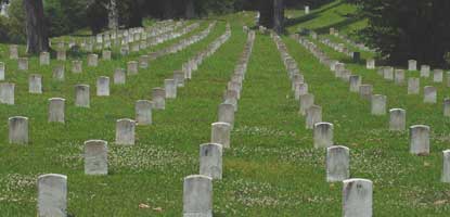 cemetery4 cemetery4