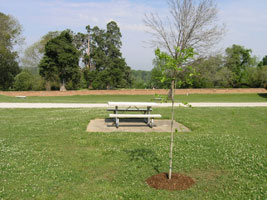 USS Cairo Exhibit Picnic Area