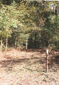 White-topped Post, Al Scheller Trail