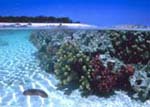 The picture was taken at the water's edge, so it shows a portion of Australia's Great Barrier Reef both above and below water.