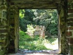 The view is through the door of a sugar plantation ruin, showing another ruin and vegetation in the background.