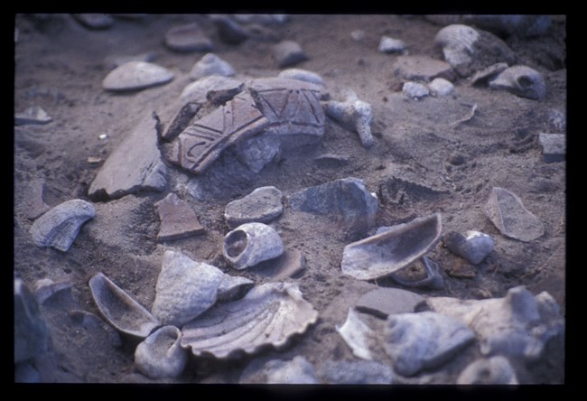 Taino Bowl Fragments