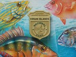 Virgin Islands National Park Junior Ranger badge, with poster images of colorful local fish in the background