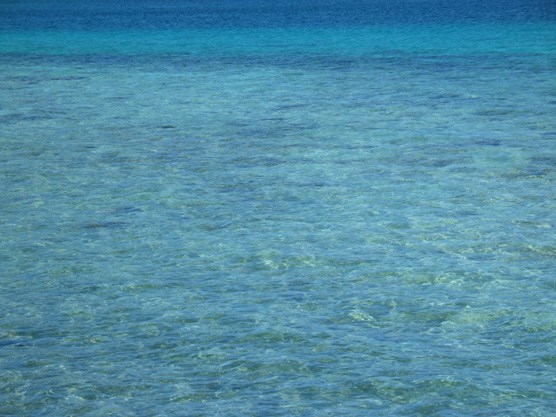 turquoise-colored seawater, with shallow depths in the forground, transitioning to greater depths in the background