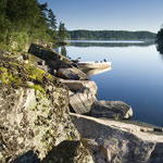 Forest and ancient rock along the shoreline of a lake