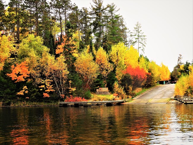 Image of fall trees in multi colors