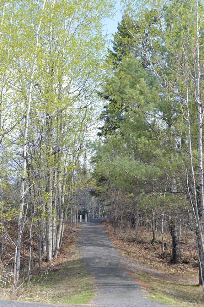 View of oberholtzer trail starting from the Rainy Lake Visitor Center