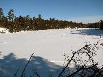 Black Bay Beaver Pond view