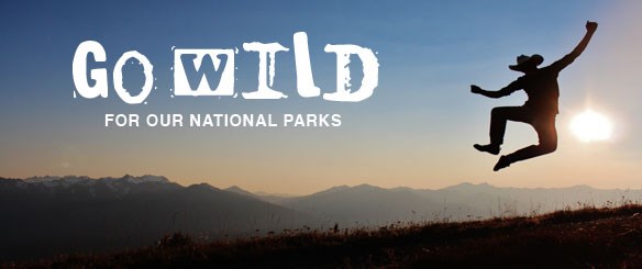 Go Wild for Our National Parks