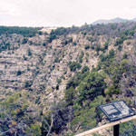View from trail overlook into Walnut Canyon