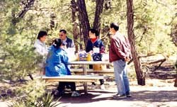 People gathered at a picnic table
