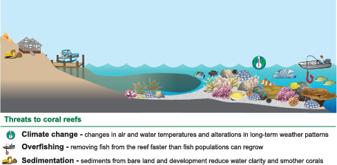 threats sedimentation corals national