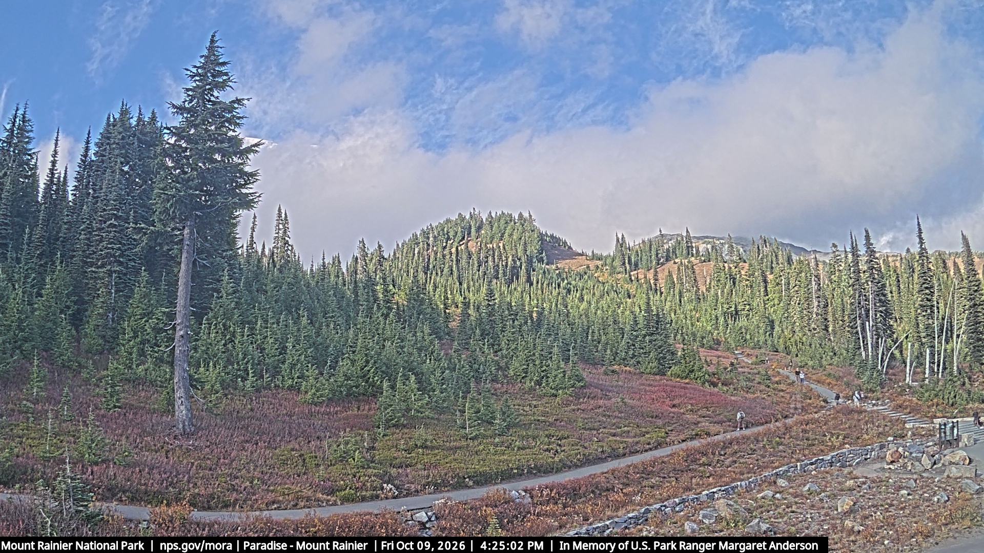 Mt. Rainier - Paradise nationalparks 3