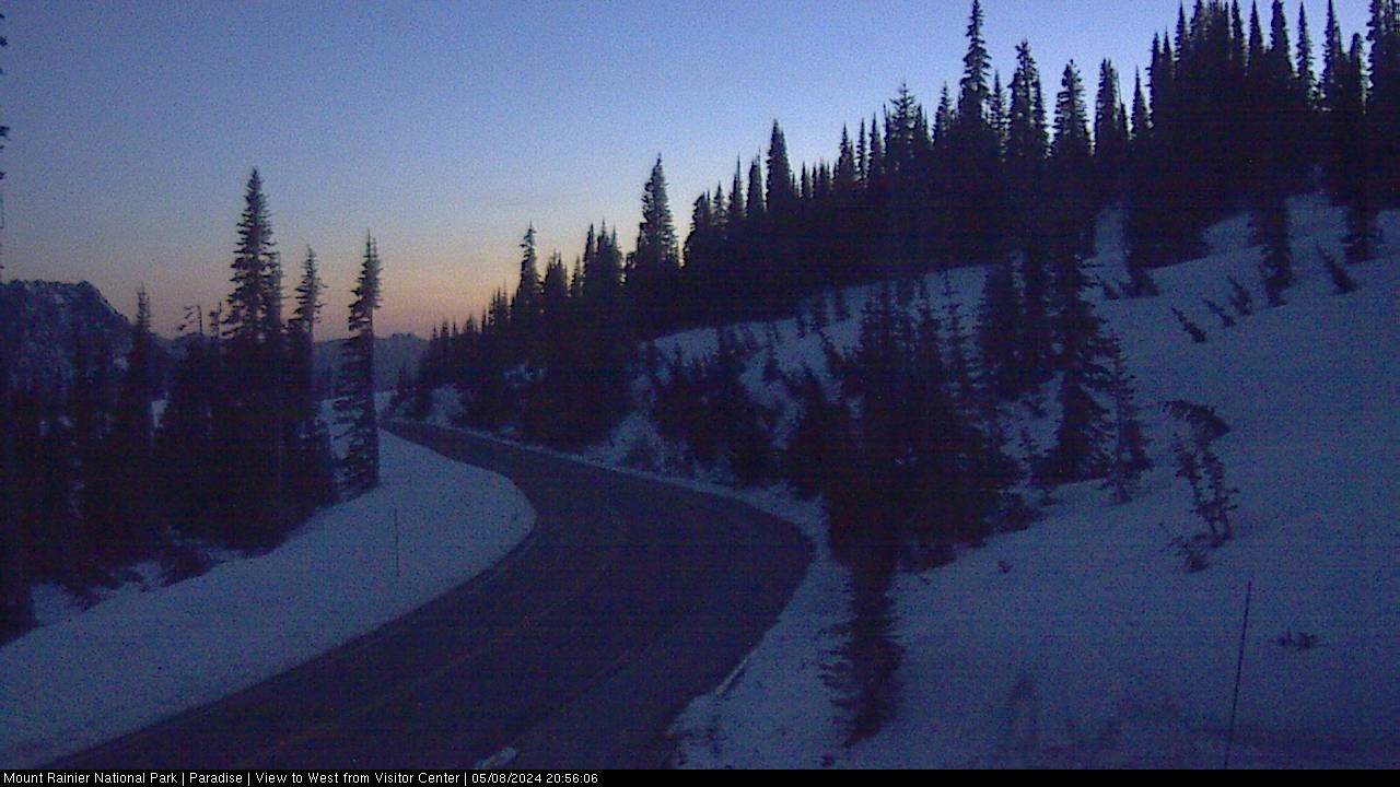 Mt Rainier Park Road Webcam Image
