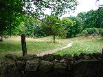 The Path