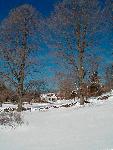 The Burlingham House in Winter