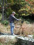 Landscape Painter
