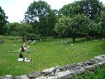 Visitors Enjoying A Brush with Nature