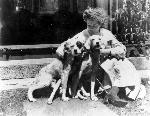Cora and Dogs