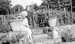 Cora in the Terraced Garden