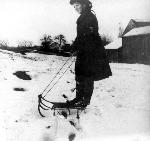 Cora on a Sled
