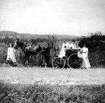 Woman and Horse Carriage