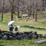Lucy Painting VOM Park News Page