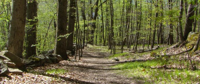 Pond Trail